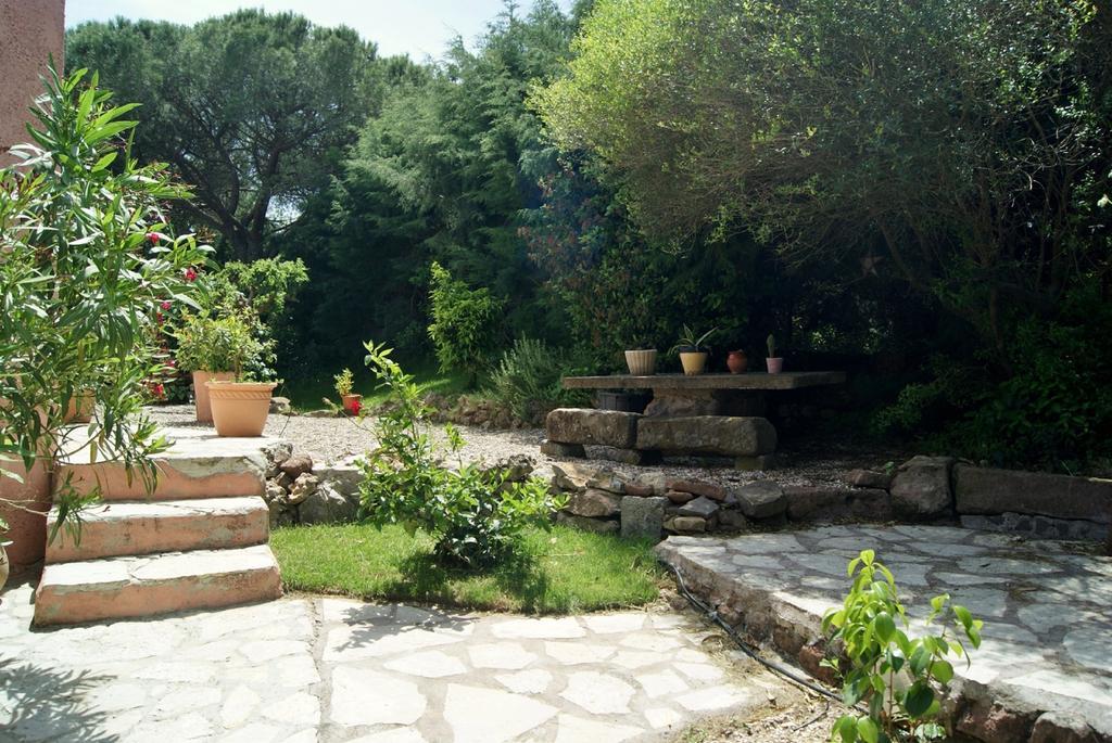 Le Mas Du Bijou Bleu Puget-sur-Argens Exterior foto