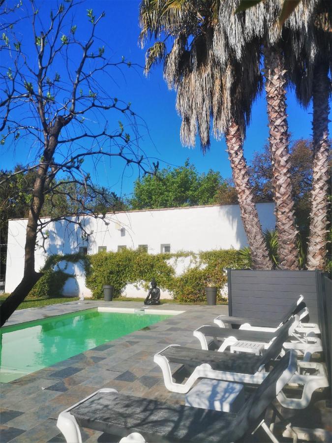 Le Mas Du Bijou Bleu Puget-sur-Argens Exterior foto